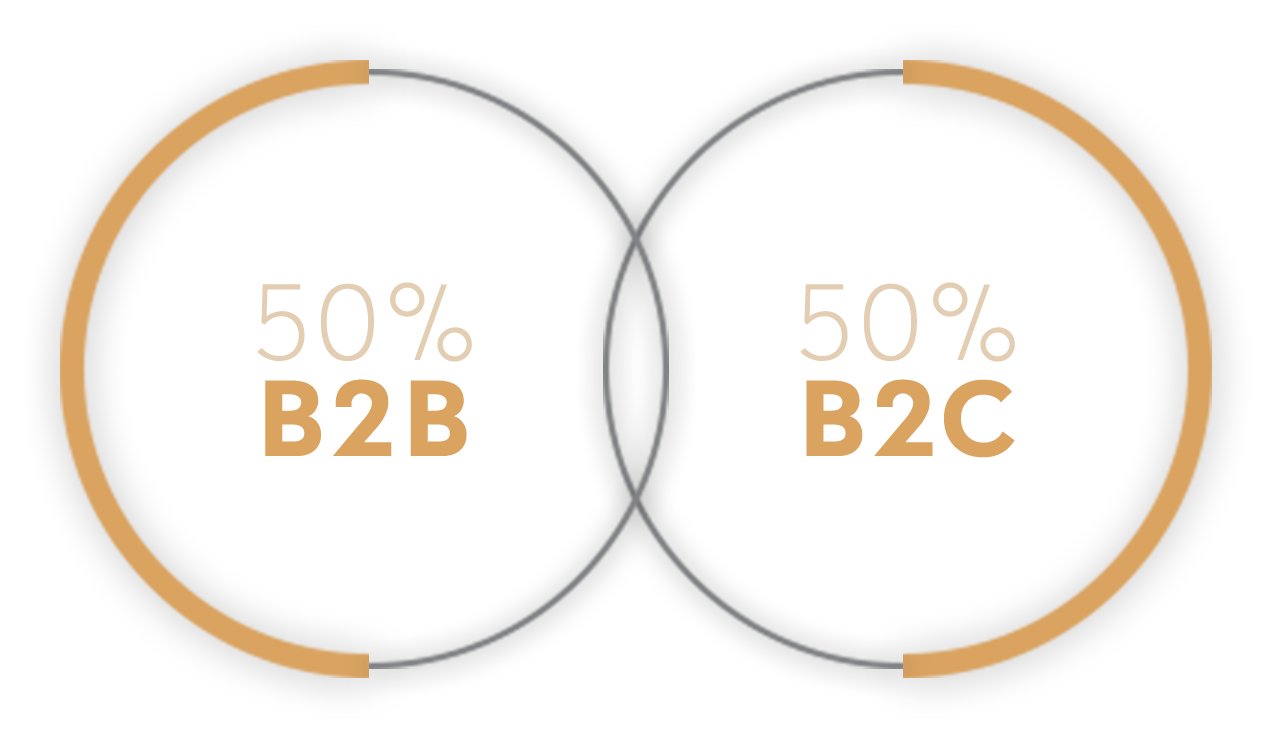 50% B2B - 50% B2C
